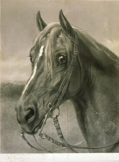 To Colonel Cody by Rosa Bonheur